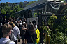 В Саратове автобус с пассажирами протаранил дерево